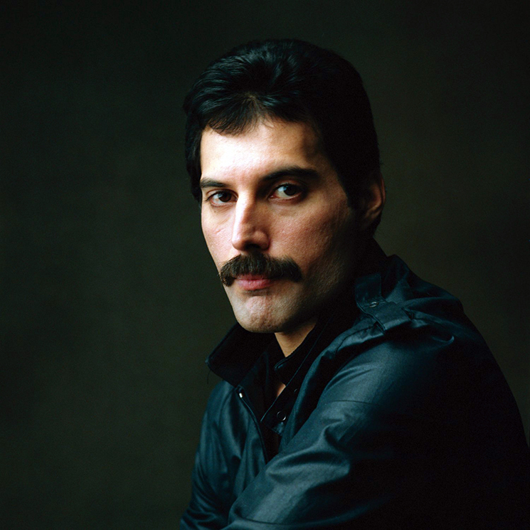 Freddie Mercury Queen 8x10 Photo #C100 