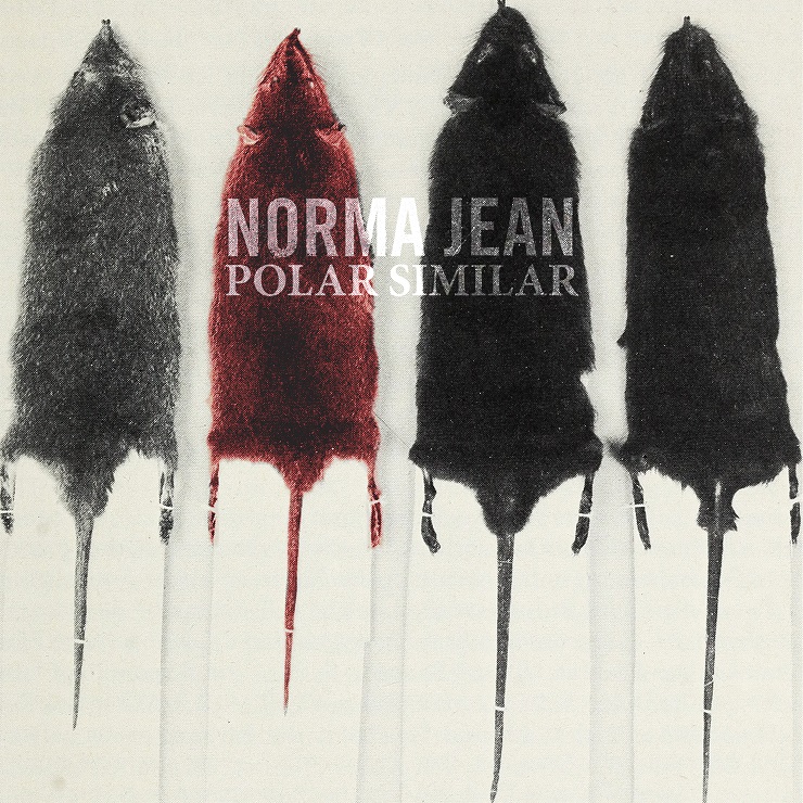 Image result for Norma Jean: Polar Similar