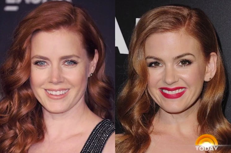 Isla Fisher Pasted Amy Adams' Face on Her Family Christmas Cards and No One  Noticed | Exclaim!