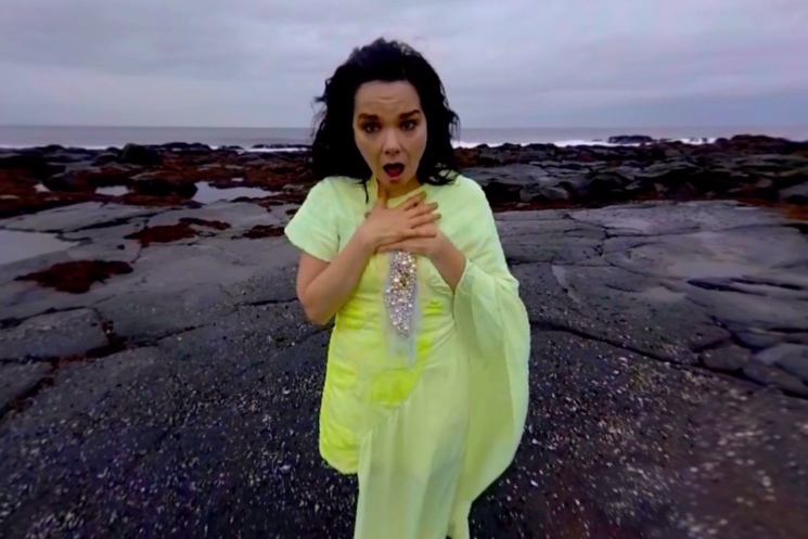 Björk"Stonemilker" (interactive video)