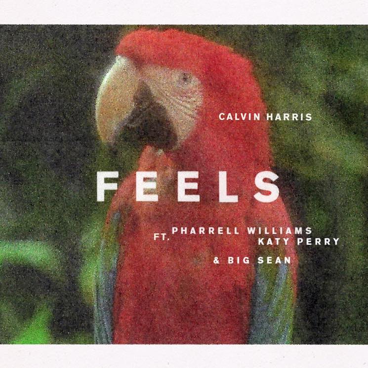 ​Calvin Harris Teams with Pharrell, Katy Perry and Big Sean for ... - Exclaim!