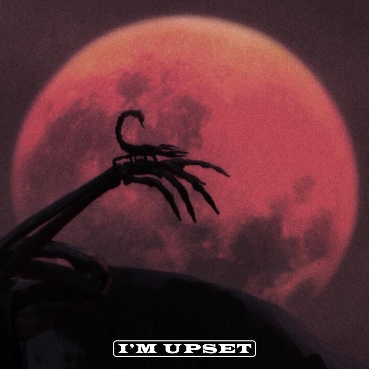 Resultado de imagem para Drake â I'm Upset cover art