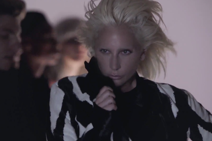 Lady Gaga"I Want Your Love" (Chic cover) (video)