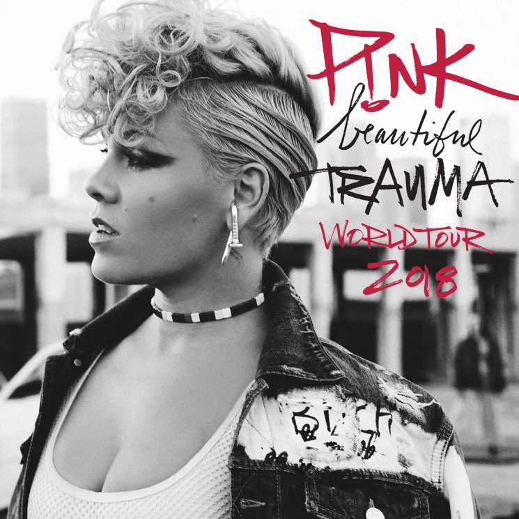 P!nk announces opening act for upcoming Fargo concert 