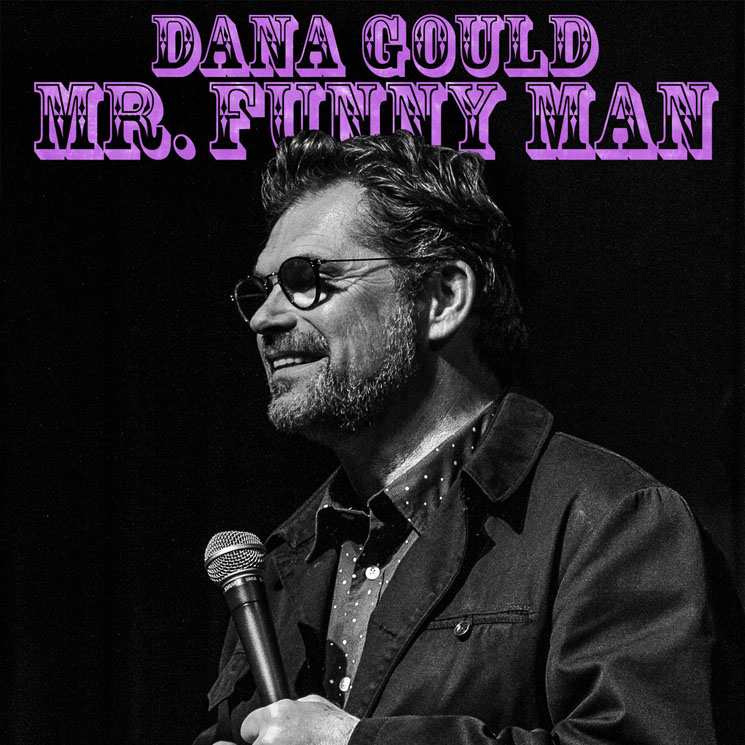 Dana Gould Mr. Funny Man