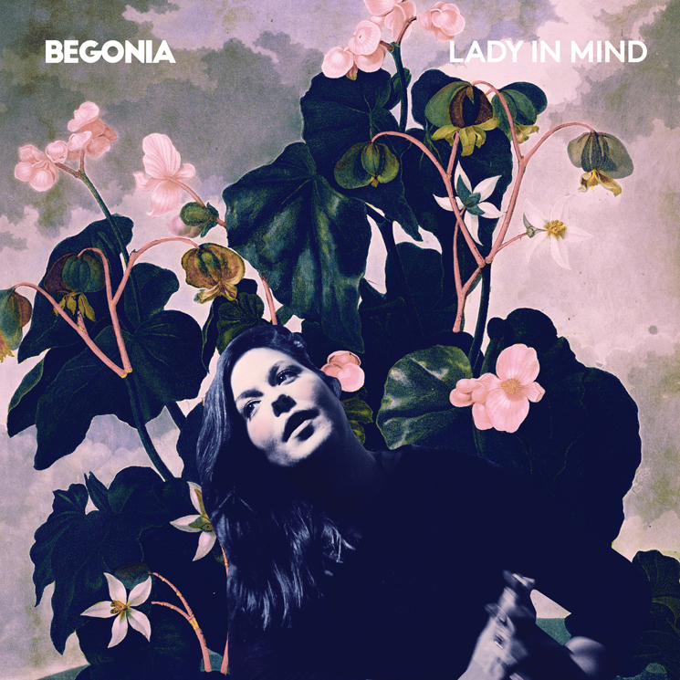 Begonia Lady in Mind