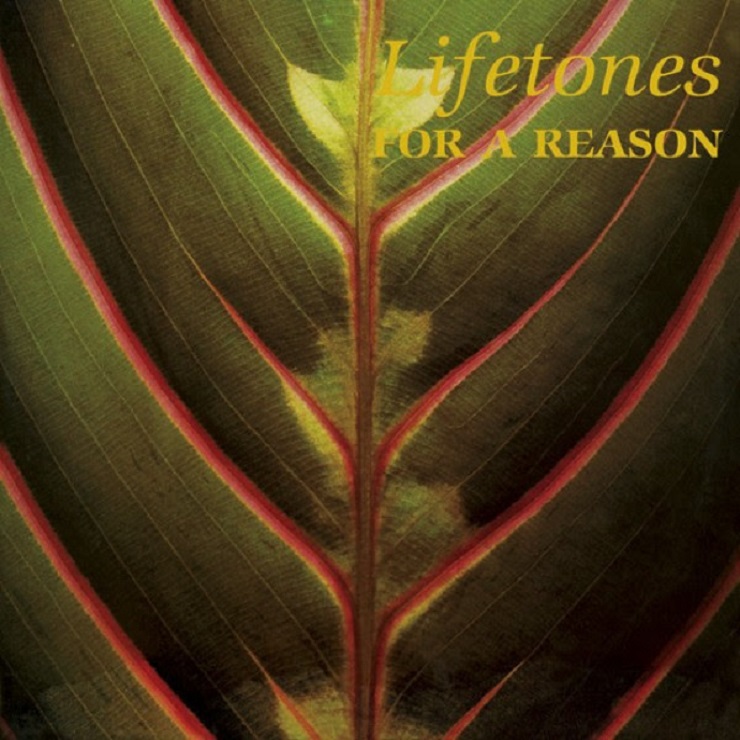 This Heat Offshoot Lifetones Treated to Vinyl Reissue via Light in the Attic 