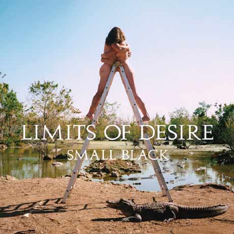 Small Black Limits of Desire