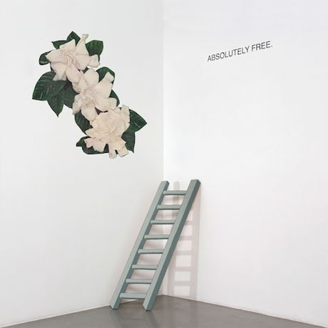 Absolutely Free Announce Debut LP, Premiere New Single 