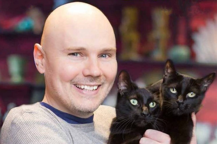 Smashing Pumpkins' Billy Corgan Joins Cameo to Raise Money for Cats 