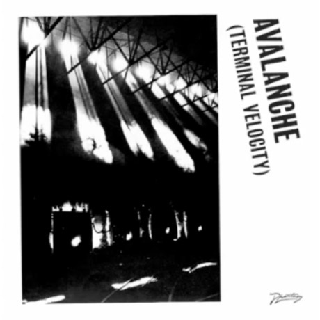 Boys Noize and Erol Alkan 'Avalanche (Terminal Velocity)' (ft. Jarvis Cocker)