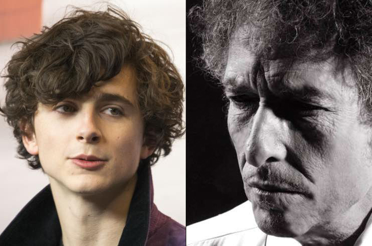 Bob Dylan Biopic with ​Timothée Chalamet Shelved Indefinitely 