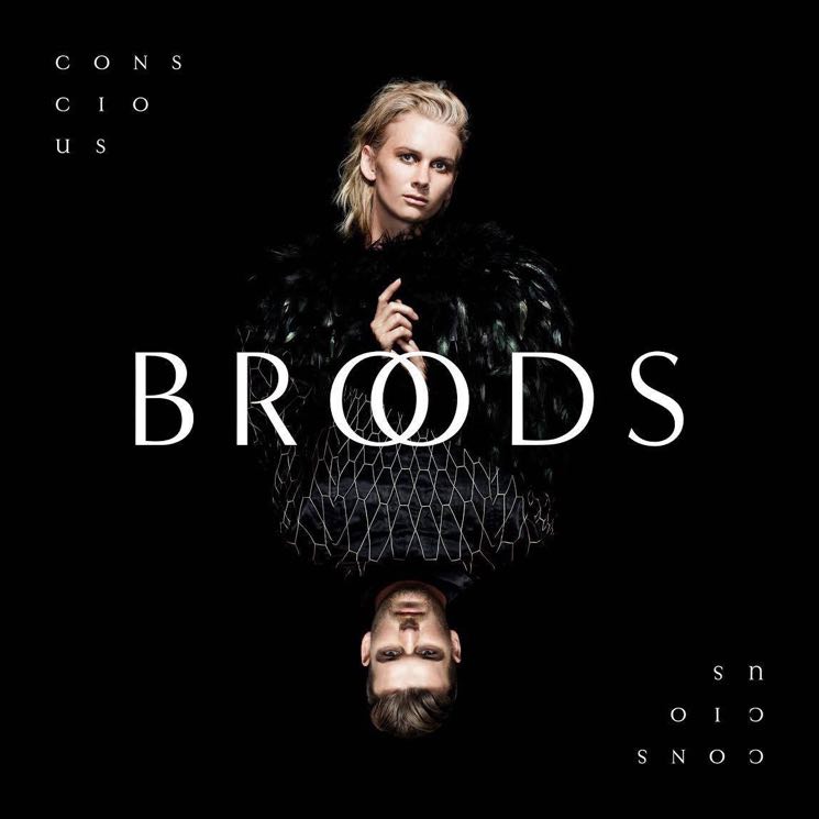 Broods Conscious