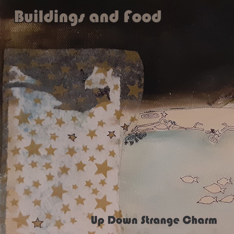 Buildings and Food Makes the Retro Sound New Again on 'Up Down Strange Charm' 