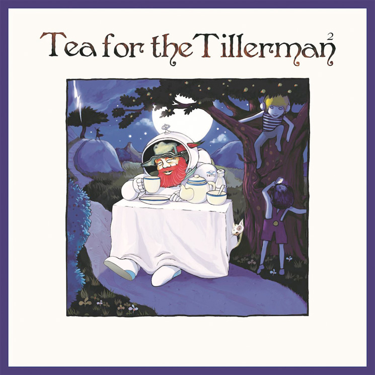 Cat Stevens Is Remaking His Classic 'Tea for the Tillerman' 