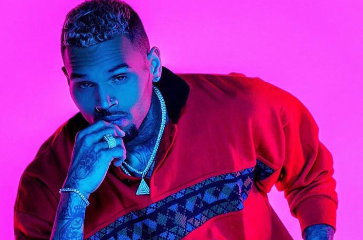 ​Chris Brown Arrested in Paris Following Rape Allegation 