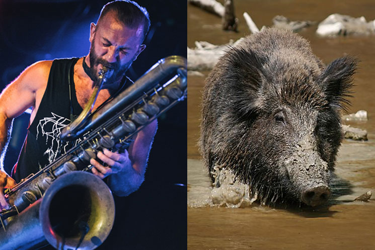 Colin Stetson Used Hog Grunt Recordings In His 'Texas Chainsaw Massacre' Score 