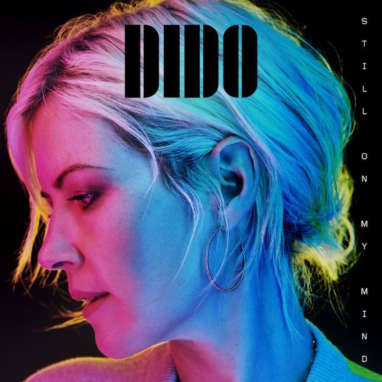 Dido Announces 'Still on My Mind' LP, Shares New Single 
