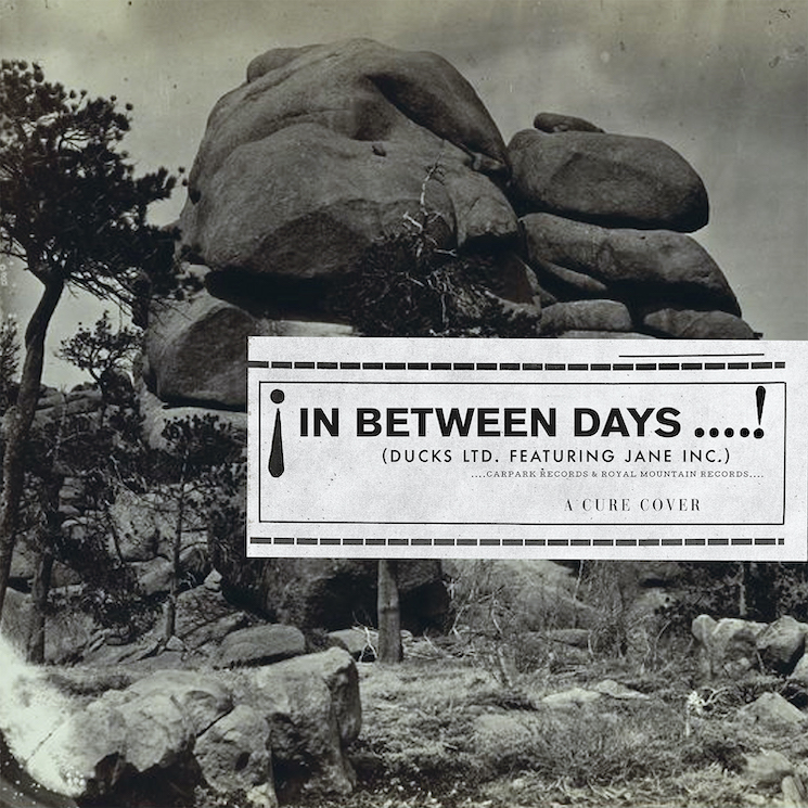 Ducks Ltd. and Jane Inc Team Up on Cover of the Cure's 'In Between Days' 