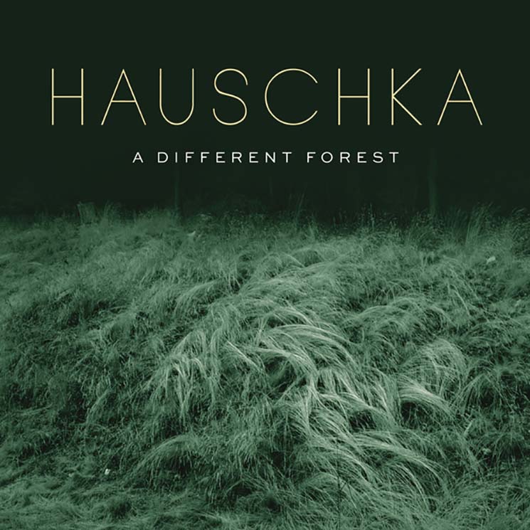 Hauschka A Different Forest
