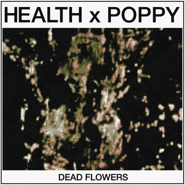 HEALTH Team Up with Poppy on New Single 'DEAD FLOWERS' 
