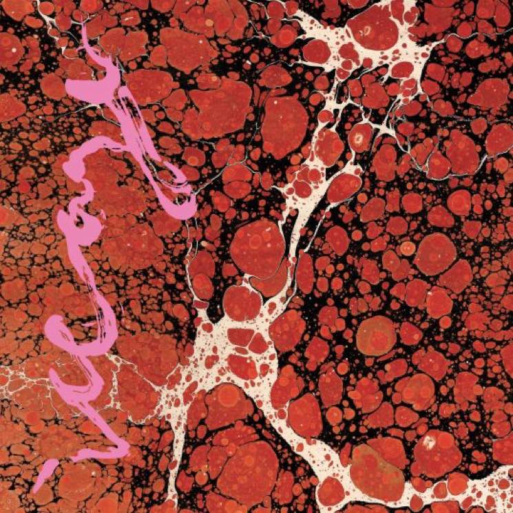 ​Iceage Announce &#039;Beyondless&#039; LP, Share New Single Featuring Sky Ferreira