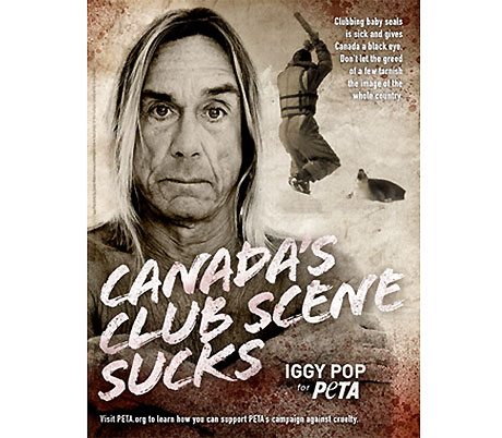 Iggy Pop and Ke$ha Weigh In on Canada's Seal Hunt in PETA Campaign 