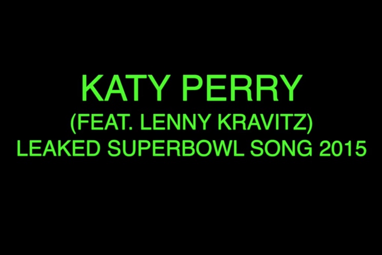Tim Heidecker 'Katy Perry Leaked Superbowl Song 2015'