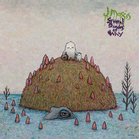 J Mascis Several Shades of Why