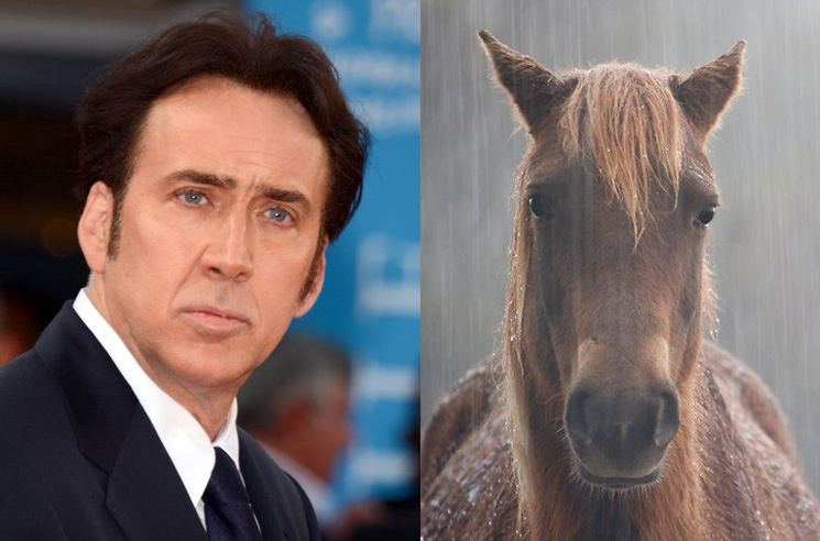 Nicolas Cage Says a Horse Named Rain Man Tried to Kill Him on the Set of 'Butcher's Crossing' 
