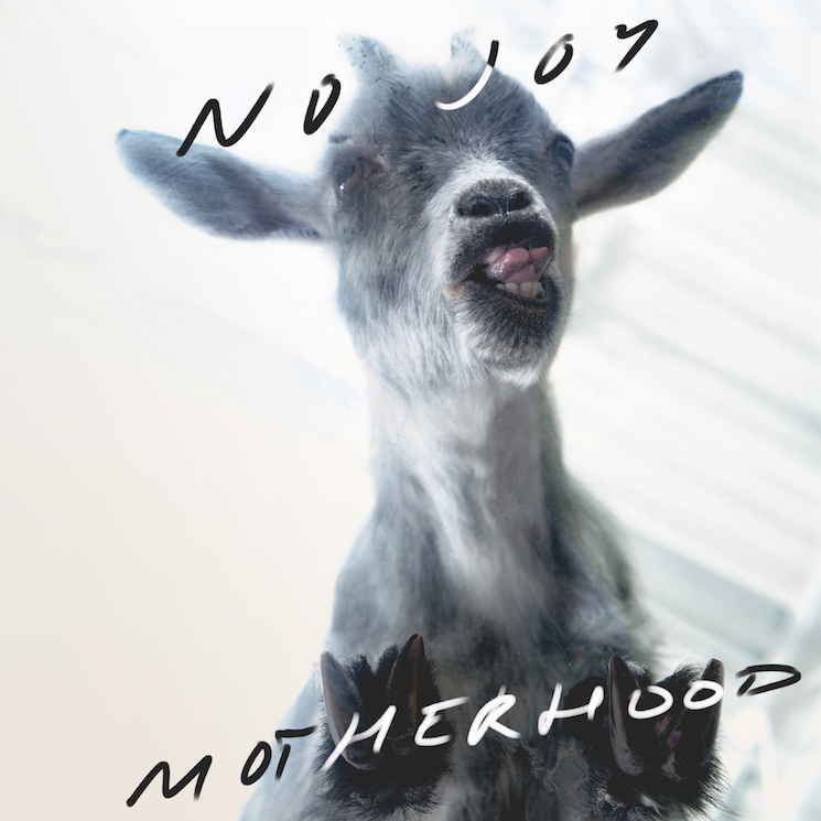 No Joy Make Shoegaze Danceable on 'Motherhood' 