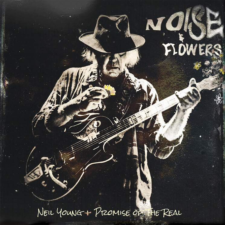 Neil Young Plots 'Noise & Flowers' Live Album and Concert Film 
