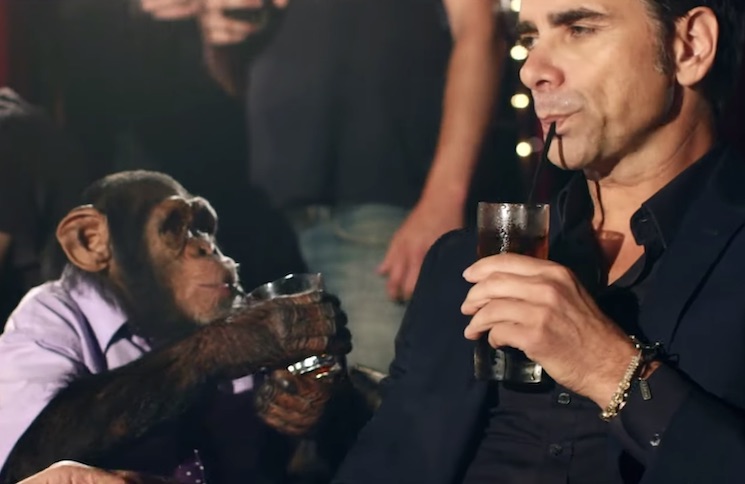 PETA Is Pissed at the Offspring for Using Chimps in Their Terrible New Music Video 