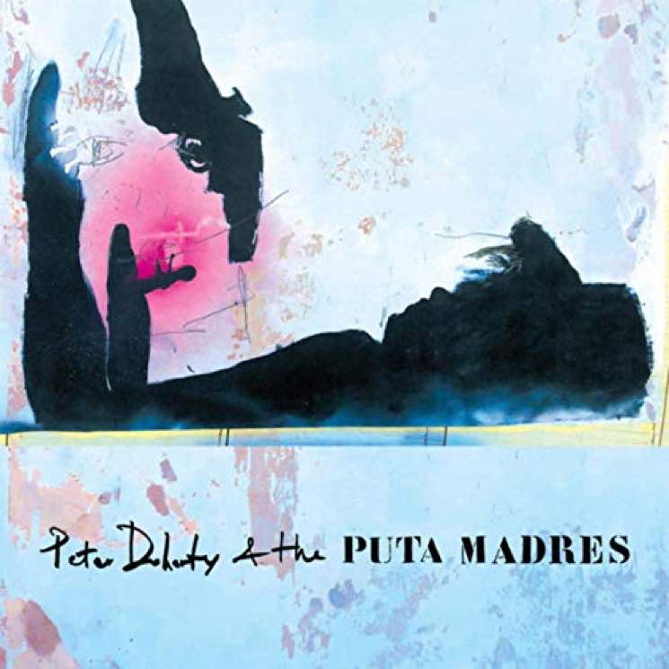 Peter Doherty & the Puta Madres Announce Debut Album 