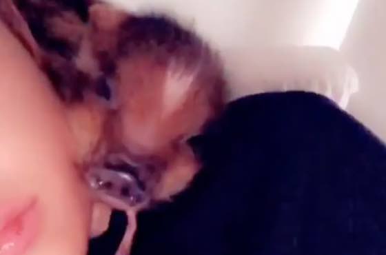 ​Ariana Grande Gets to Keep the Pig in Breakup with Pete Davidson 