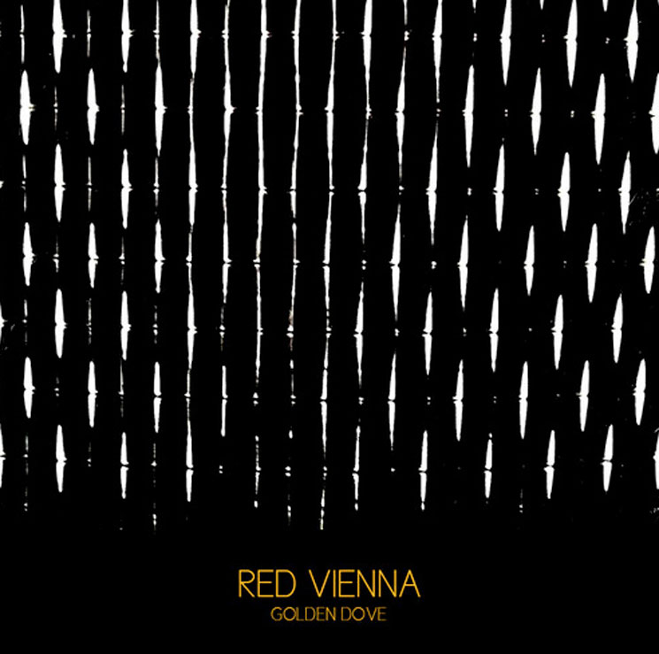 Red Vienna 'Golden Dove'