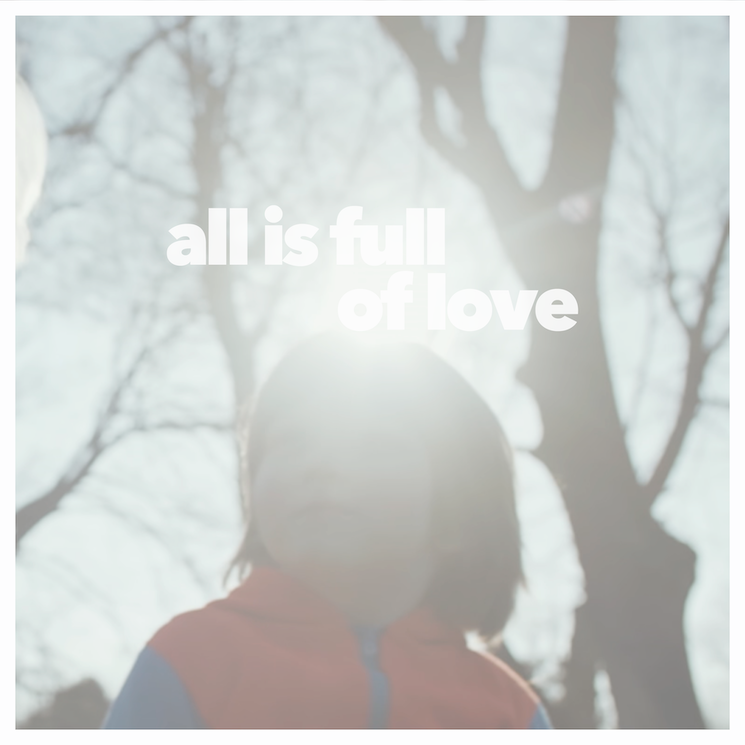 Sufjan Stevens, Iron & Wine, James McAlister Team Up on Rosie Thomas's Cover of Björk's 'All Is Full of Love' 