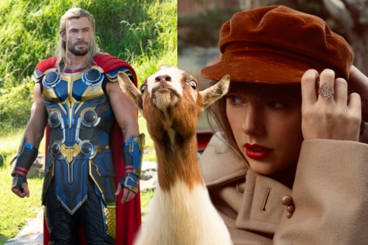 Taika Waititi Says 'Thor: Love and Thunder' Is Indebted to a Taylor Swift Meme from 2013 