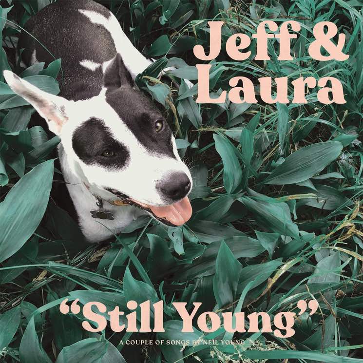 Jeff Rosenstock and Laura Stevenson Release Neil Young Covers EP for His Birthday 