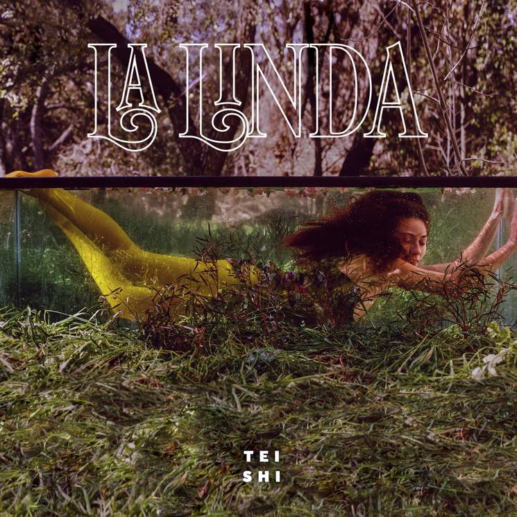 Tei Shi >> álbum "La Linda" Teishi_lalinda