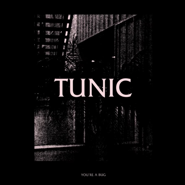 Watch Tunic's New Video for 'You're a Bug' 