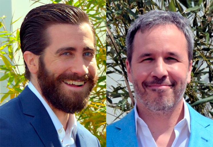 Jake Gyllenhaal and Denis Villeneuve Are Reteaming for HBO Series 'The Son' 
