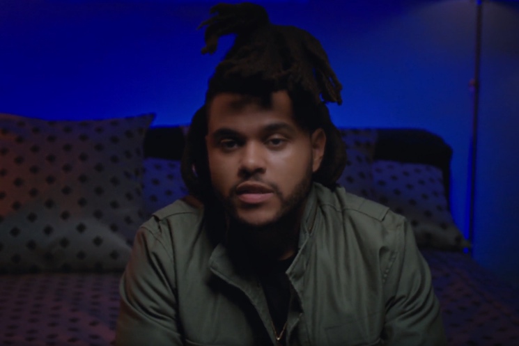 The Weeknd Donates $250,000 to Black Lives Matter 