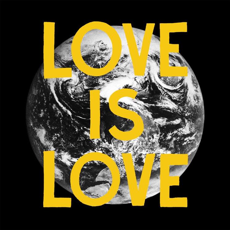 ​Woods Declare 'Love Is Love' on New Album, Share Title Track 