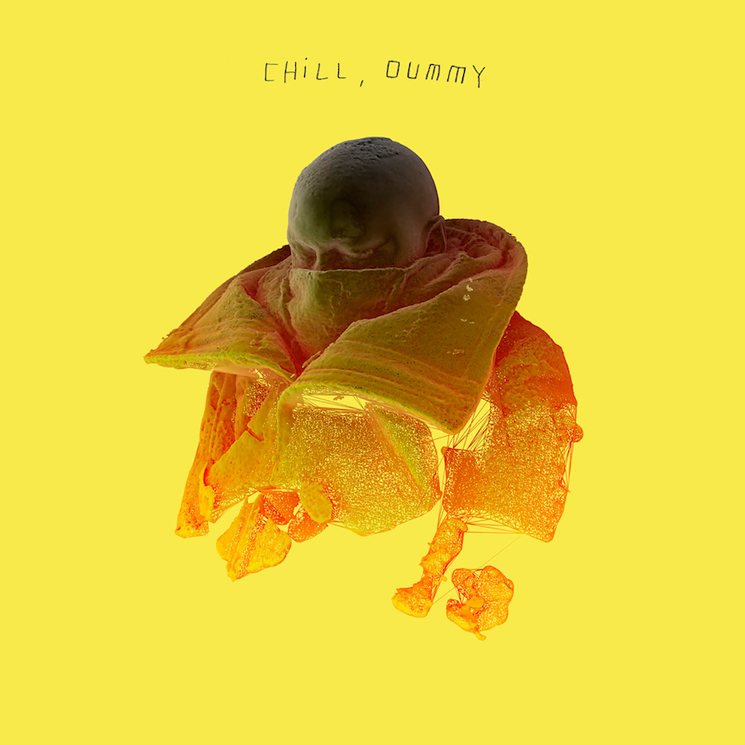 P.O.S Gets Justin Vernon, Kathleen Hanna for 'Chill, dummy' LP 