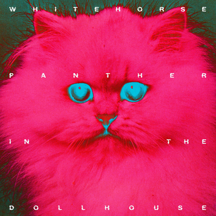 Whitehorse  Panther in the Dollhouse 