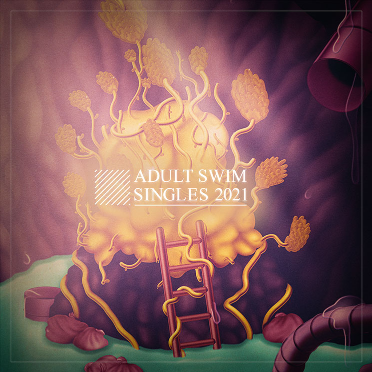 Adult Swim Gets Backxwash, Chromeo, Iceage for 2021 Singles Series 