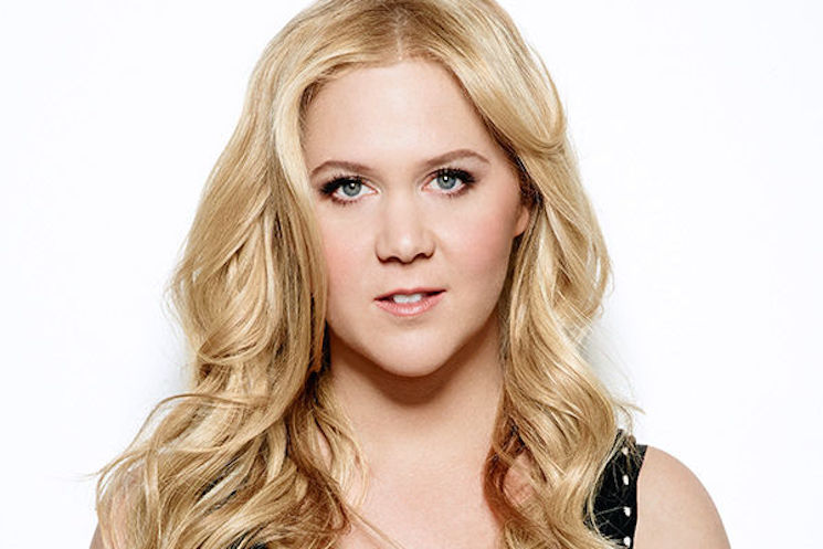 Amy Schumer Clarifies Status of Show After Cryptic Tweets 