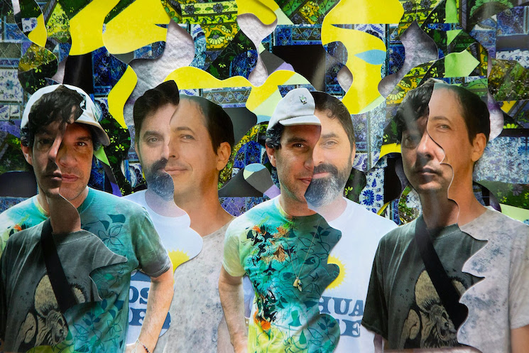 Animal Collective's 15 Best Songs Ranked  
