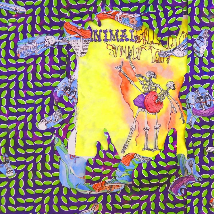 Animal Collective Celebrate 10th Anniversary of 'Merriweather Post Pavilion' with New Live Album 